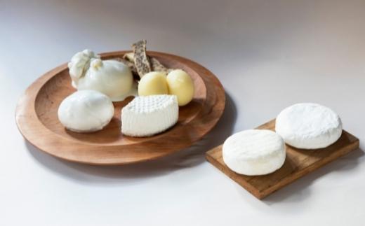 CHEESE STAND7種セット